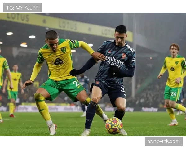 诺维奇卡罗路将举办全新音乐盛会，引发广泛关注