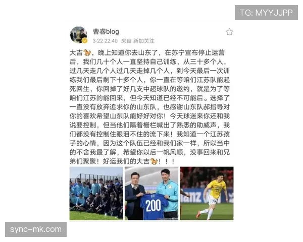 西甲转会动态：新援加盟助力阵容优化，球迷热盼新赛季精彩表现